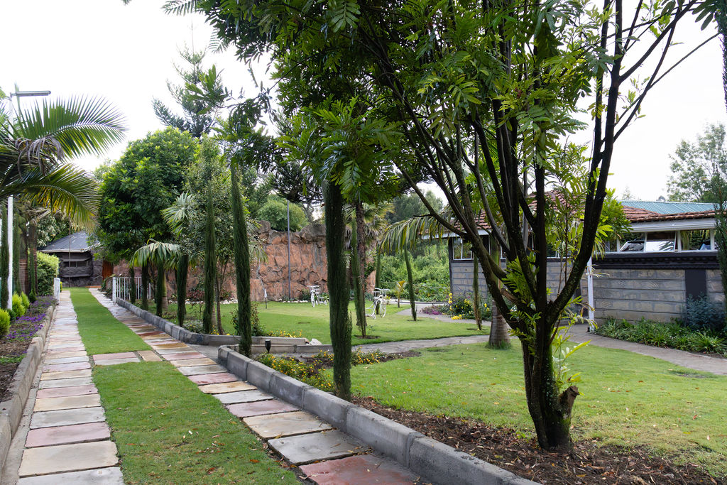 Lush Foliage